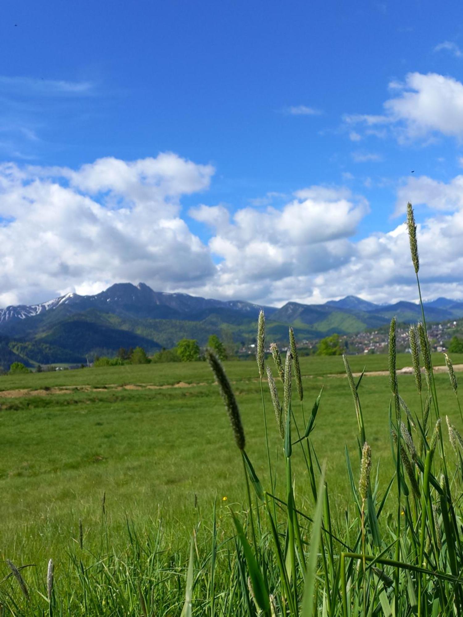 Domki Na Gawlakach Zakopane Camera foto